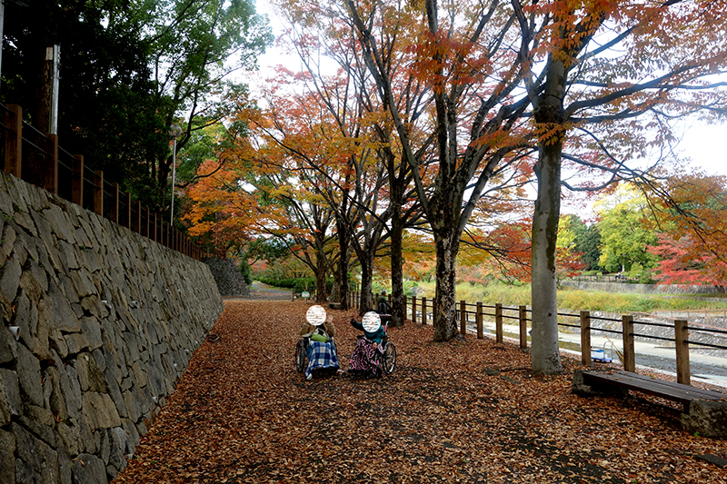 28日小畑川公園で紅葉狩り1